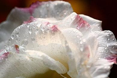 桌面角色扮演游戏《咏叹世界》现已在Steam平台推出试玩Demo